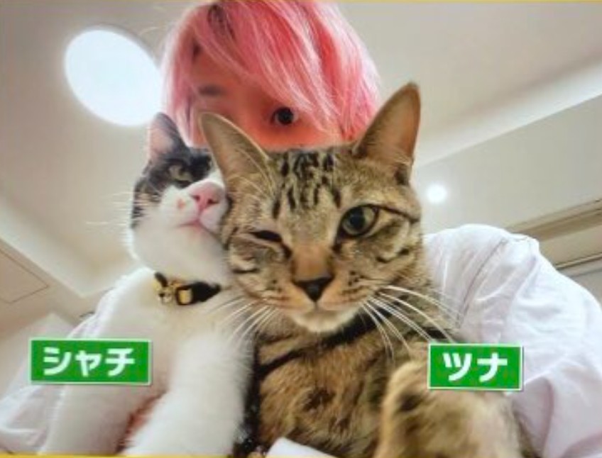 実家が撮影された番組・SNSの“映り込み”まとめ