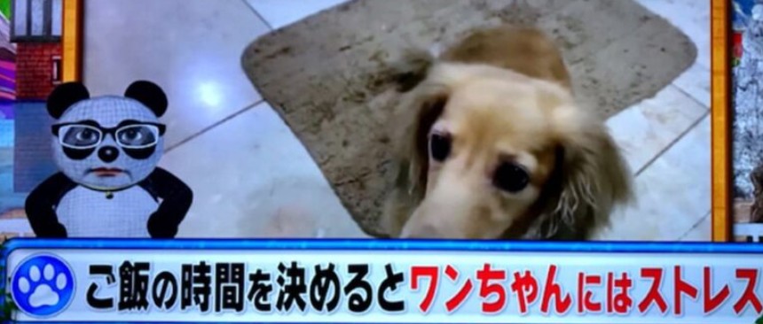 実家の外観は公開されてる？